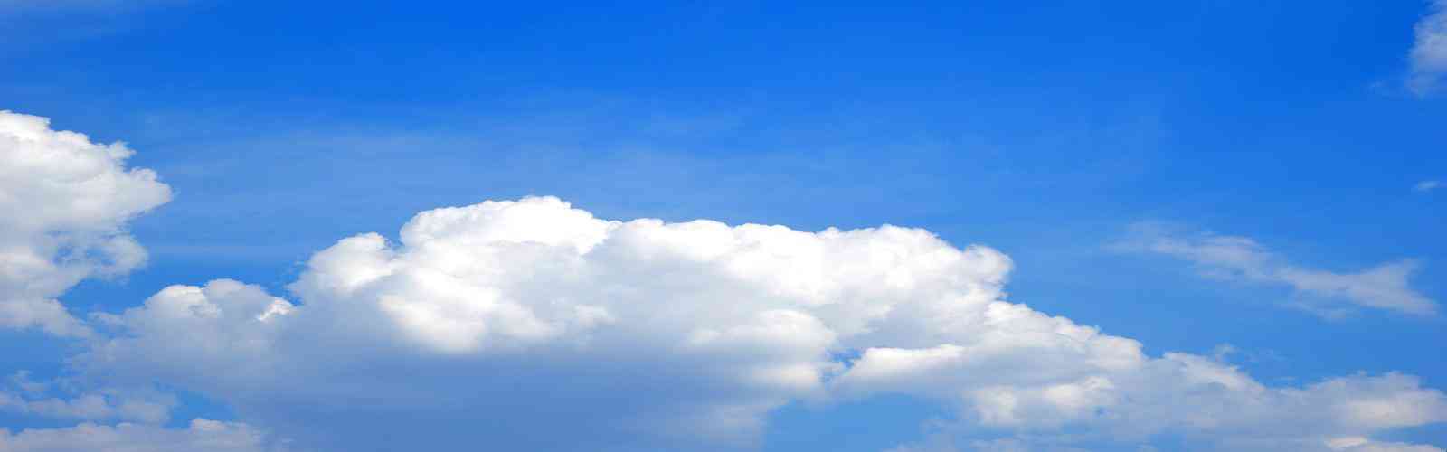 赏金女王模拟器